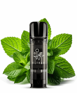 elfbar-elfa-menthol-1_600x600@2x.png